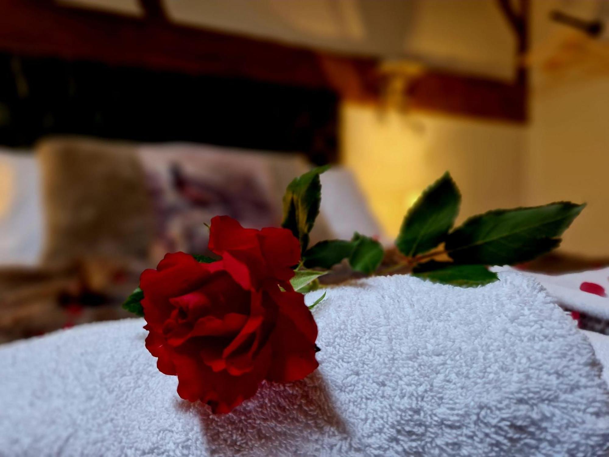 The Hamilton - The Studio Luxury Holiday Let'S Scorton  Dış mekan fotoğraf